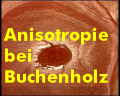 Anisotropie bei Buchenholz